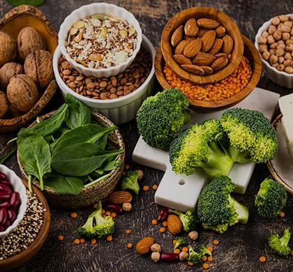 Plant-based protein sources